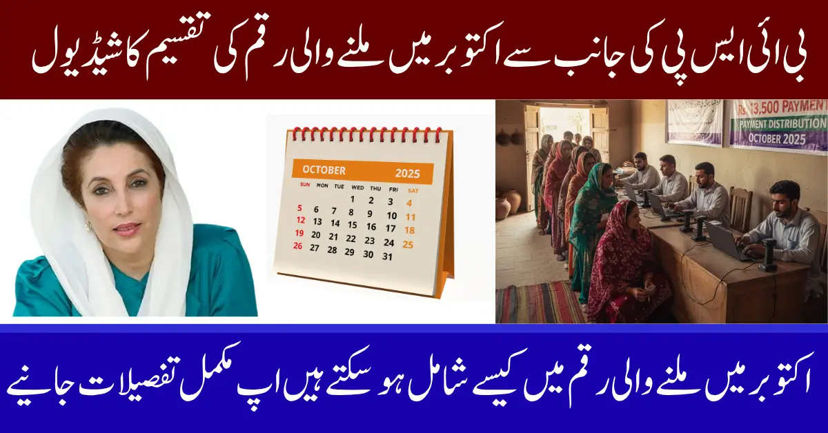 BISP Web Portal October 2025 Update Distribution Schedule And Districts List Announced Full Guide